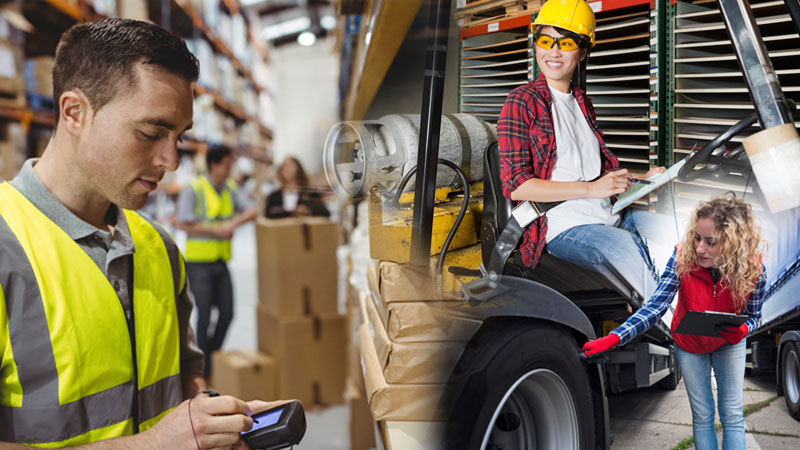 Staff working in the logistics industry